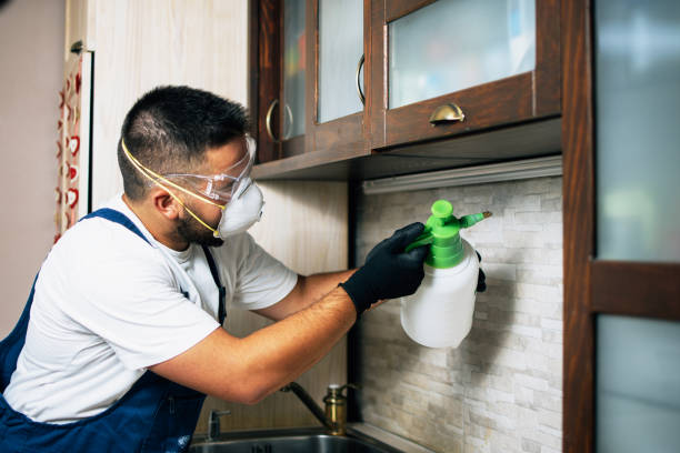 Best Pest Control Treatment  in Quitman, GA