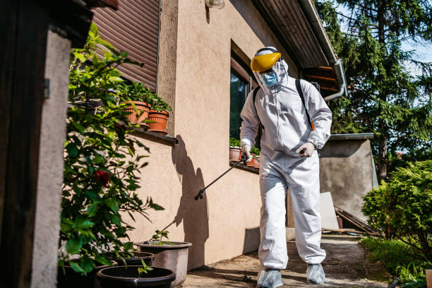 Best Best Pest Control Companies  in Quitman, GA