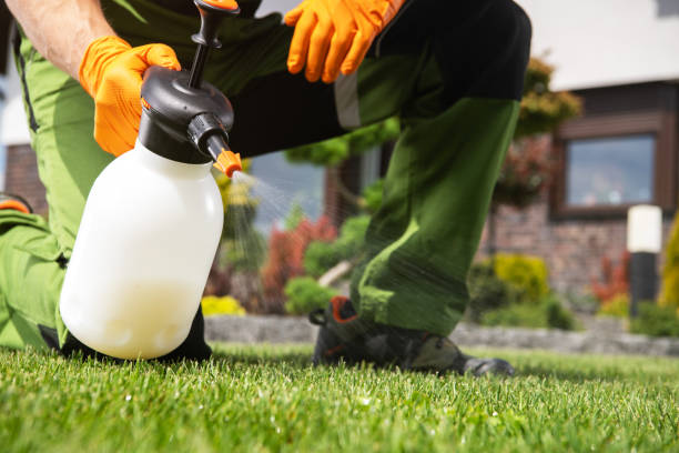 Best Wasp Removal Services  in Quitman, GA