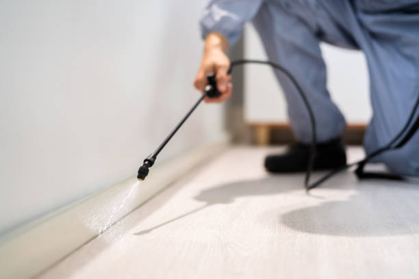 Best Cockroach Control Services  in Quitman, GA