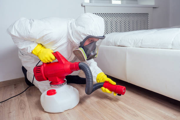 Best Pest Control Near Me  in Quitman, GA
