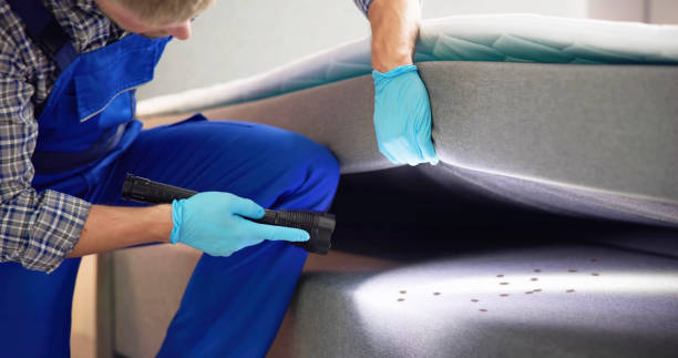 Best Mosquito Control Services  in Quitman, GA