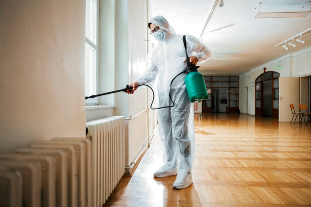 Best Affordable Pest Control Services  in Quitman, GA