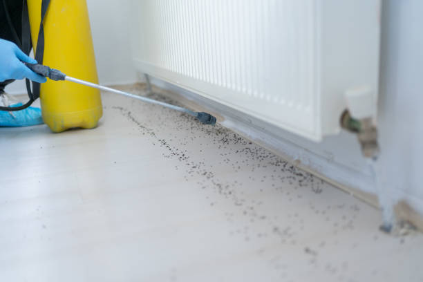 Best Commercial Pest Control Services  in Quitman, GA