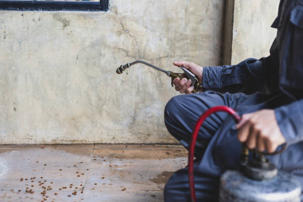 Best Pest Inspection Near Me  in Quitman, GA