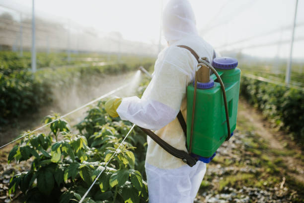 Best Flea Control Services  in Quitman, GA